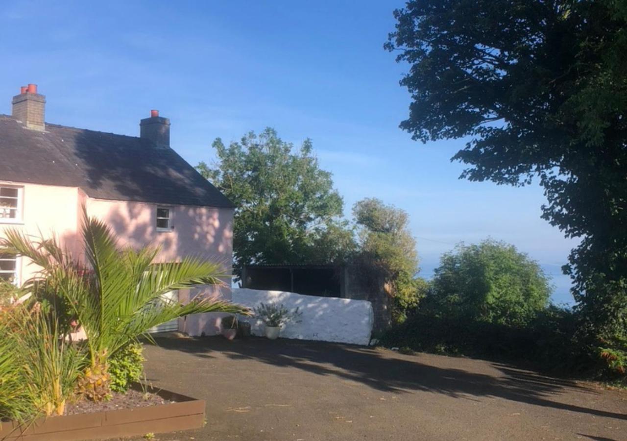 The Pink Cottage Upstairs Suite & Garden Summer Room Whitehead Εξωτερικό φωτογραφία