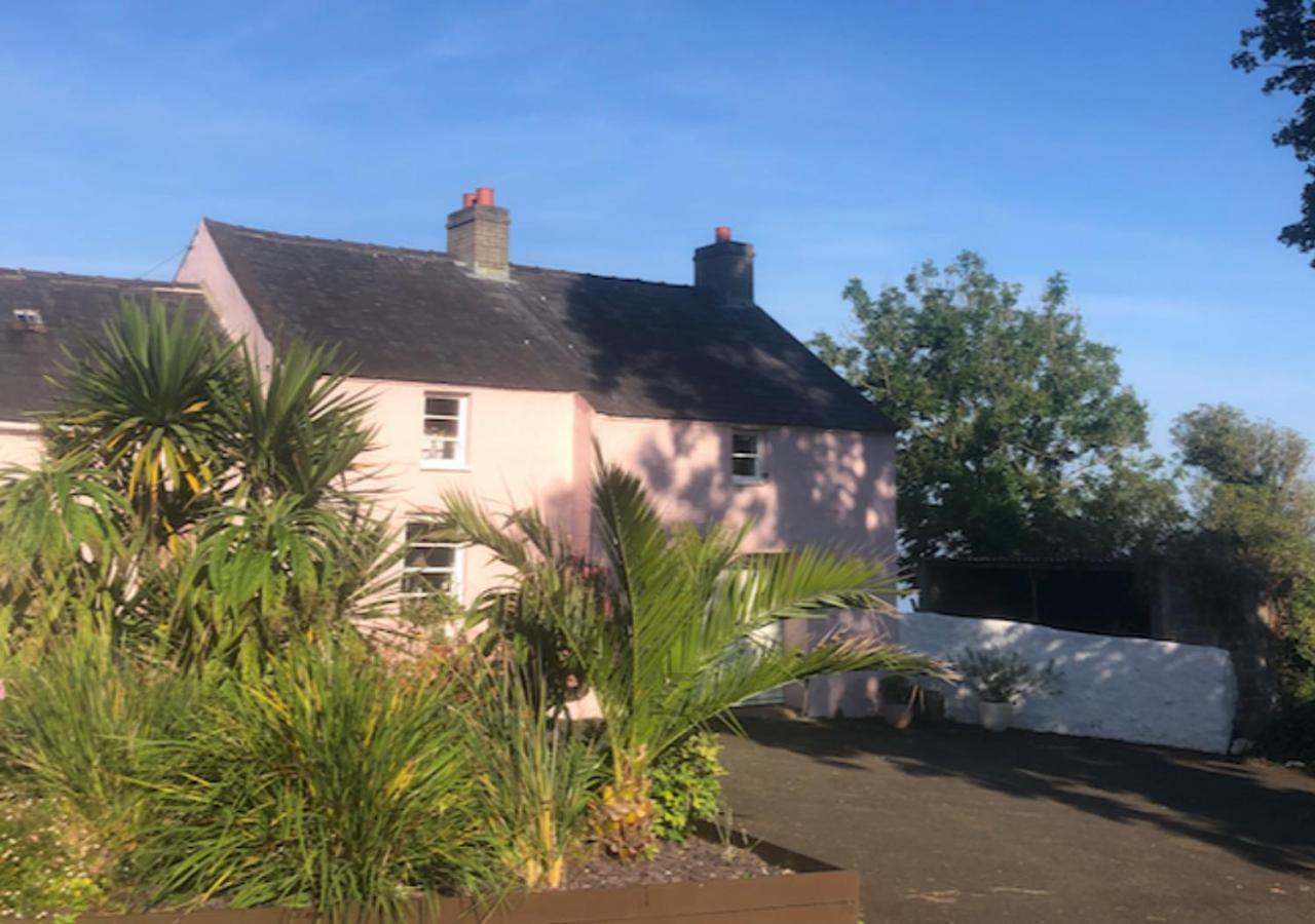 The Pink Cottage Upstairs Suite & Garden Summer Room Whitehead Εξωτερικό φωτογραφία