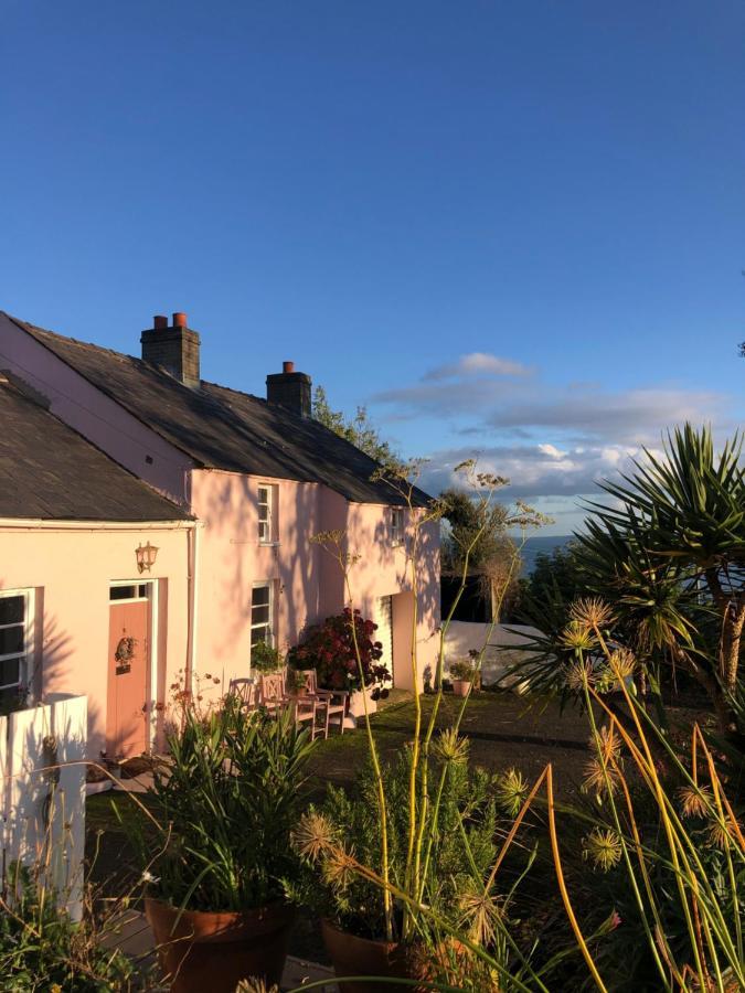 The Pink Cottage Upstairs Suite & Garden Summer Room Whitehead Εξωτερικό φωτογραφία