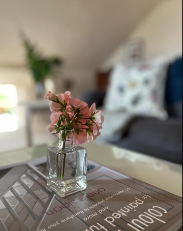 The Pink Cottage Upstairs Suite & Garden Summer Room Whitehead Εξωτερικό φωτογραφία