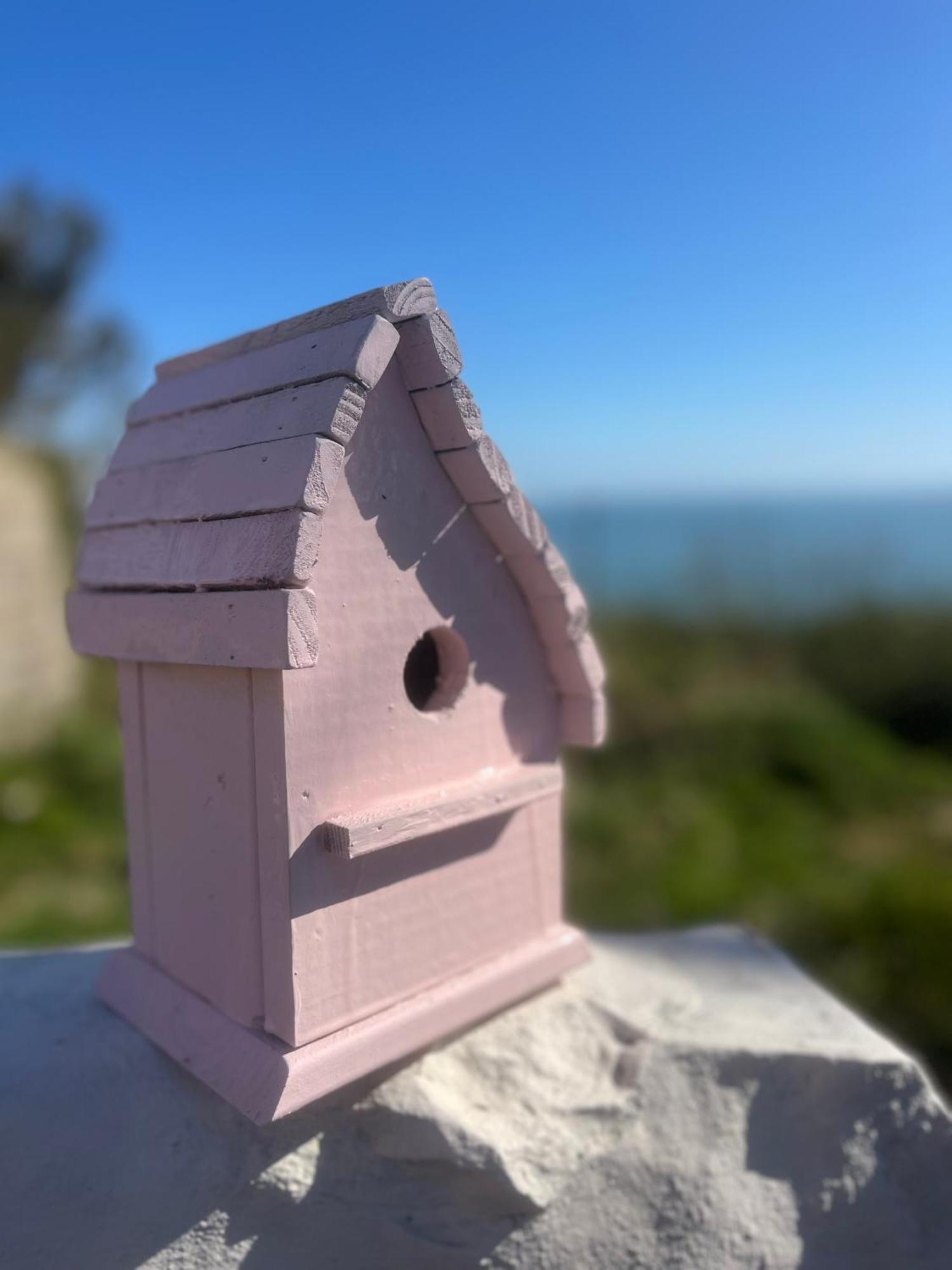 The Pink Cottage Upstairs Suite & Garden Summer Room Whitehead Εξωτερικό φωτογραφία